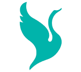 CMR University logo